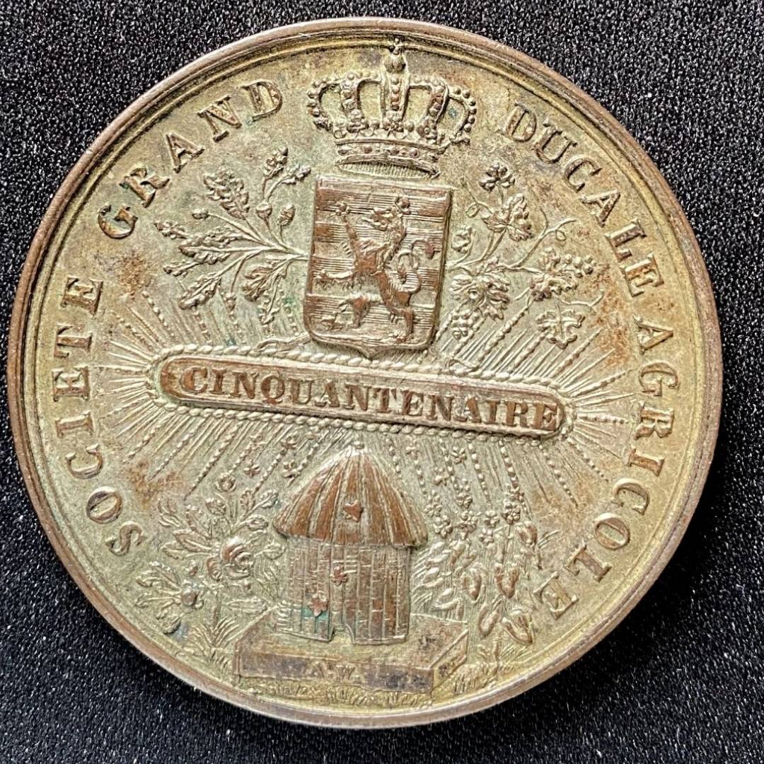 1895-Agricultural-Medal?-Help-Me-Figure-This-Out